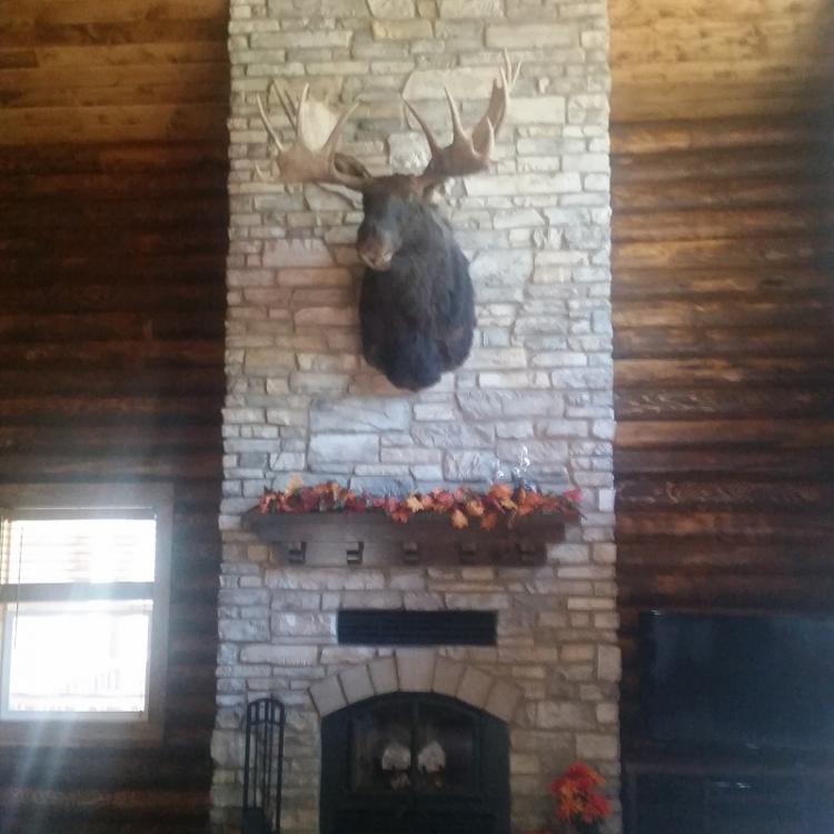 Large Fireplace
