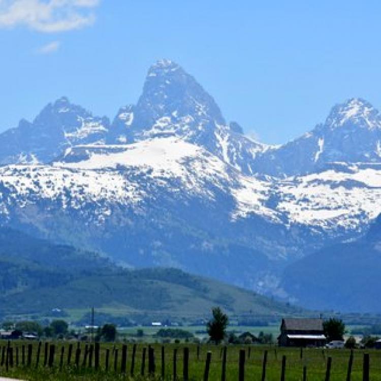 Teton