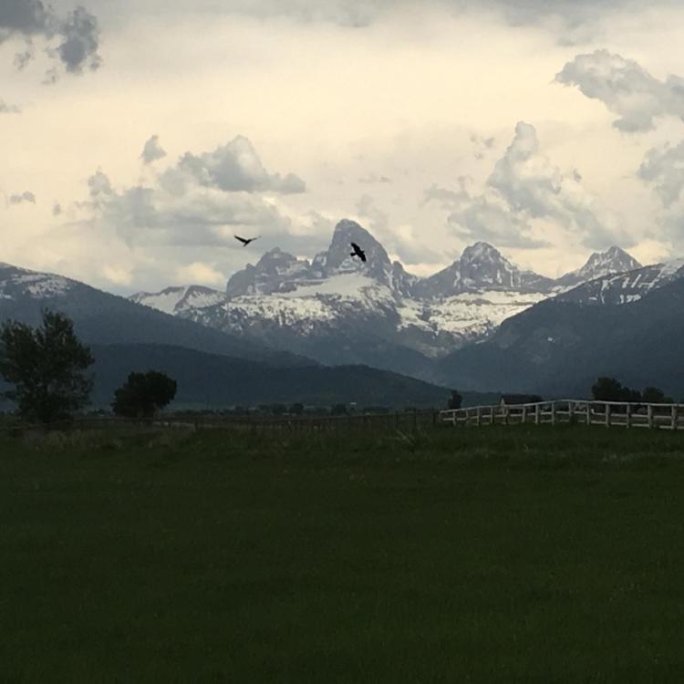 The Grand Teton